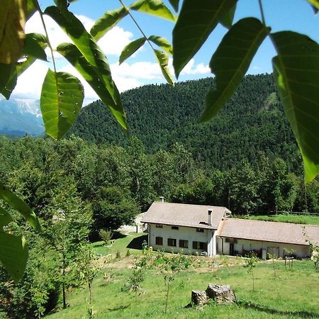 Bosco Delle Rune ..Un Angolo Di Paradiso Platischis Bagian luar foto