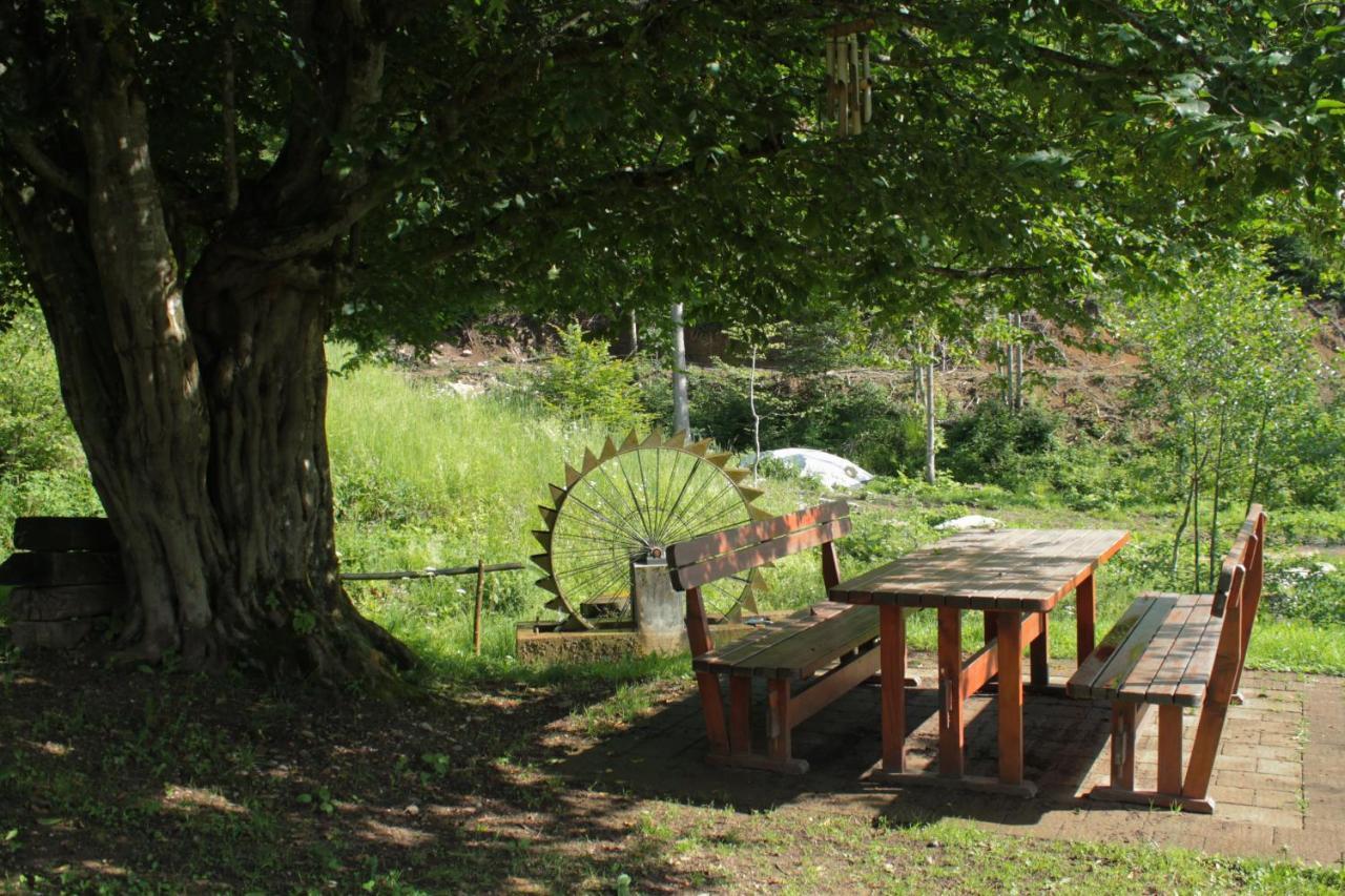 Bosco Delle Rune ..Un Angolo Di Paradiso Platischis Bagian luar foto