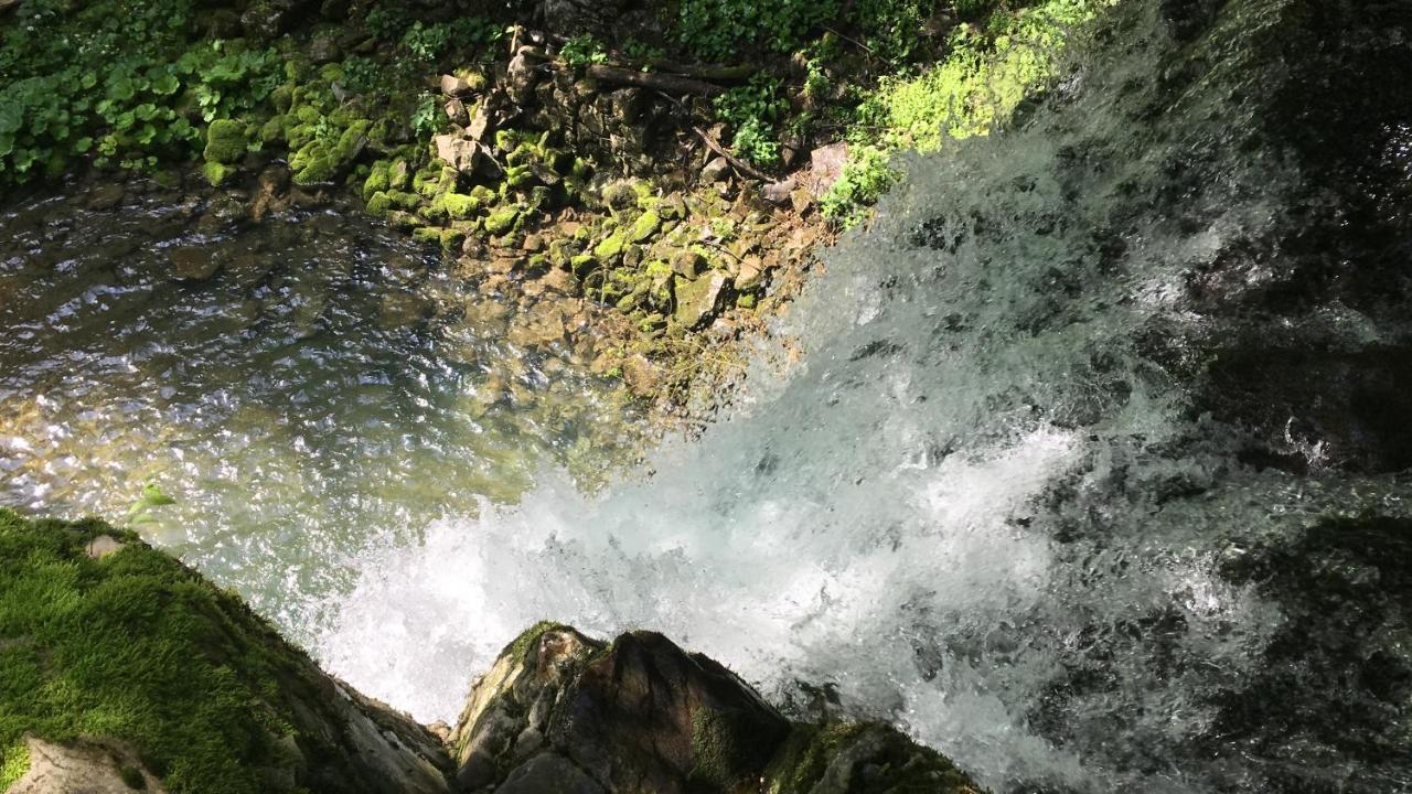 Bosco Delle Rune ..Un Angolo Di Paradiso Platischis Bagian luar foto
