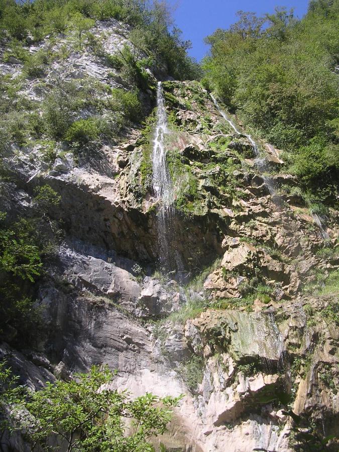 Bosco Delle Rune ..Un Angolo Di Paradiso Platischis Bagian luar foto