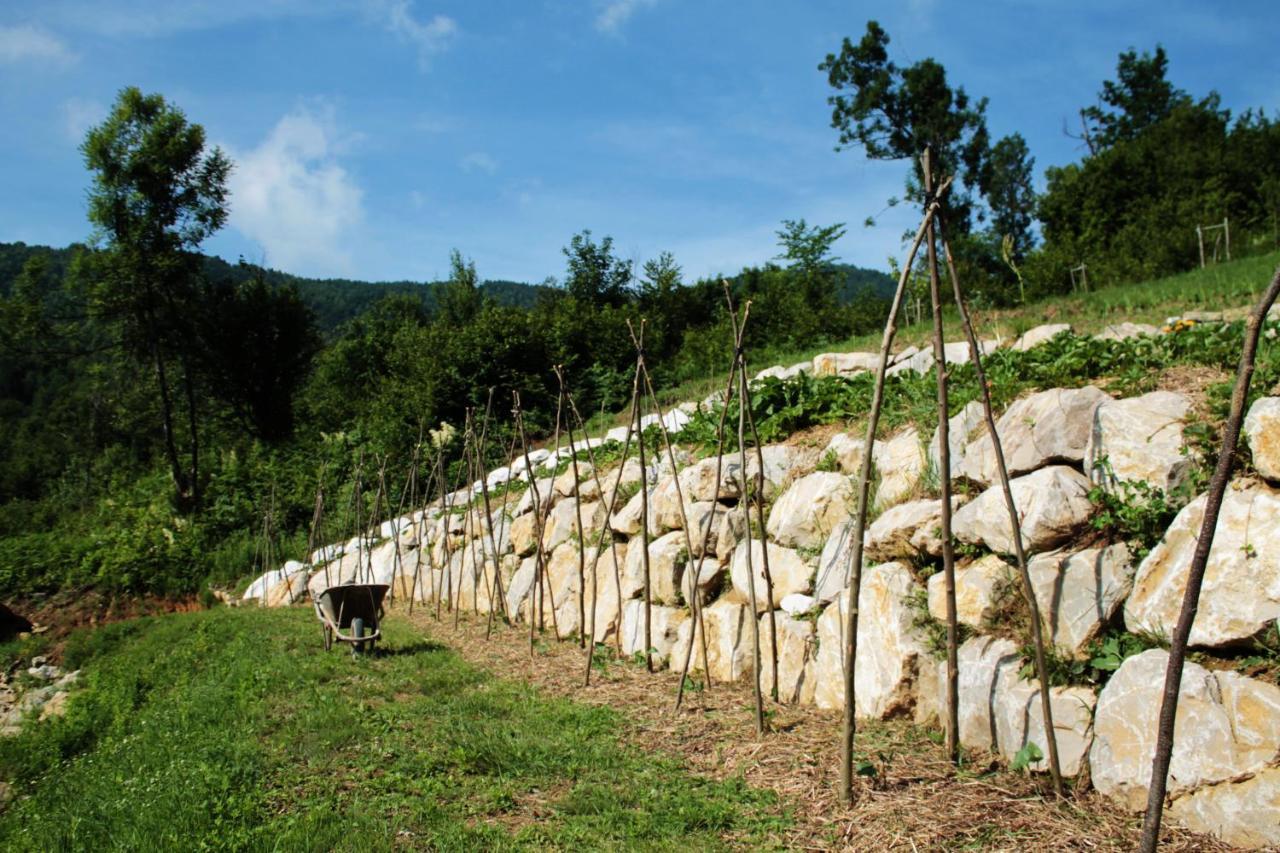 Bosco Delle Rune ..Un Angolo Di Paradiso Platischis Bagian luar foto