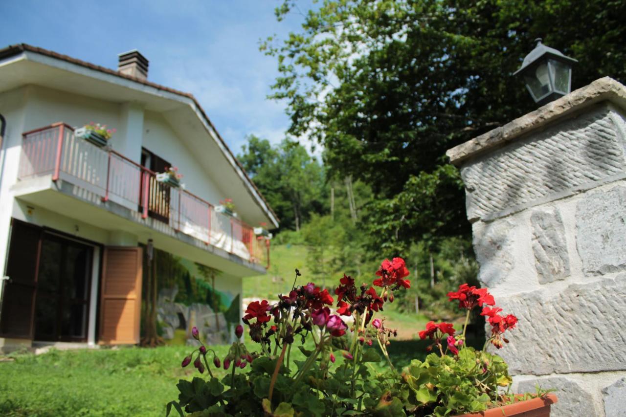 Bosco Delle Rune ..Un Angolo Di Paradiso Platischis Bagian luar foto