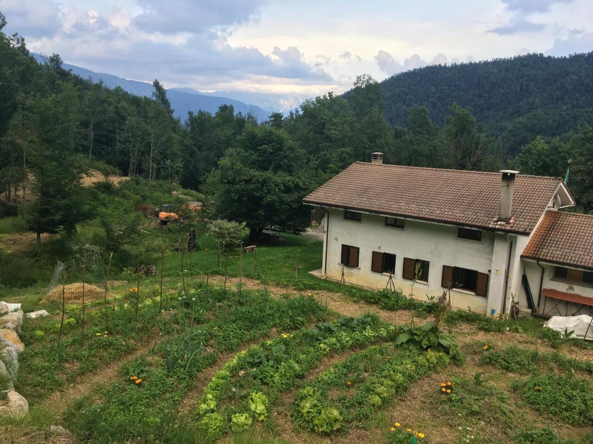 Bosco Delle Rune ..Un Angolo Di Paradiso Platischis Bagian luar foto