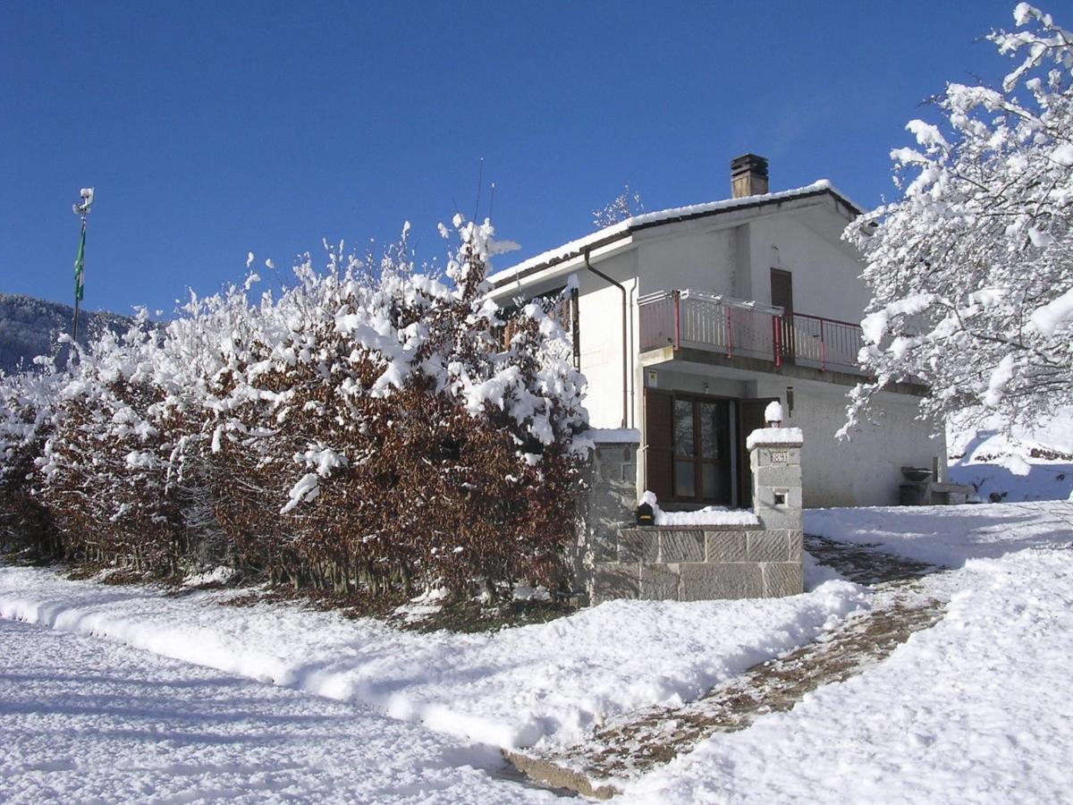 Bosco Delle Rune ..Un Angolo Di Paradiso Platischis Bagian luar foto