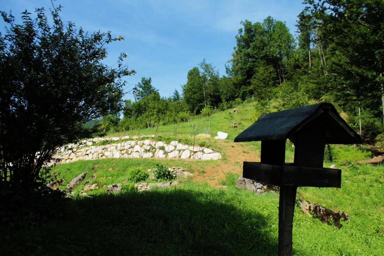 Bosco Delle Rune ..Un Angolo Di Paradiso Platischis Bagian luar foto
