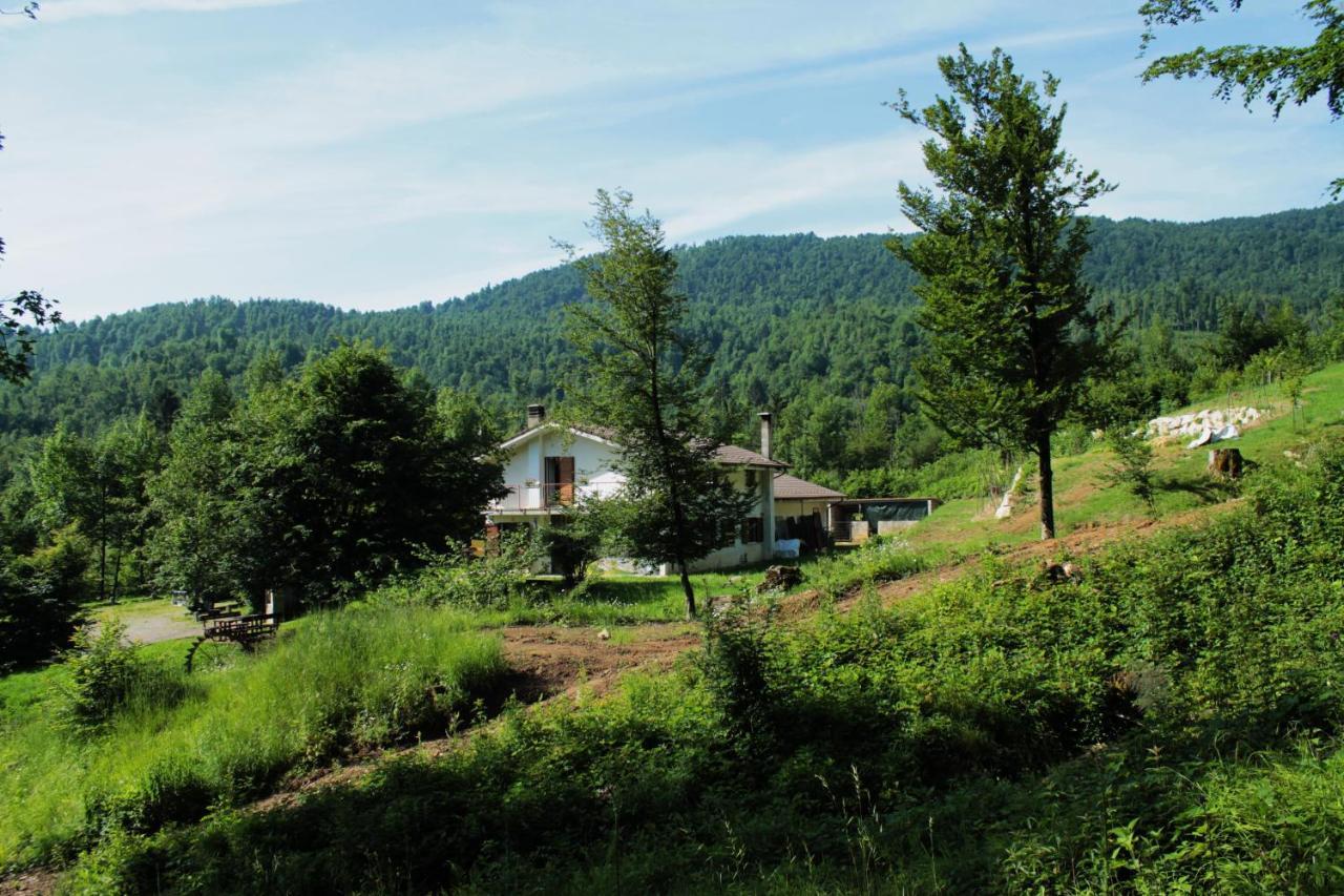 Bosco Delle Rune ..Un Angolo Di Paradiso Platischis Bagian luar foto