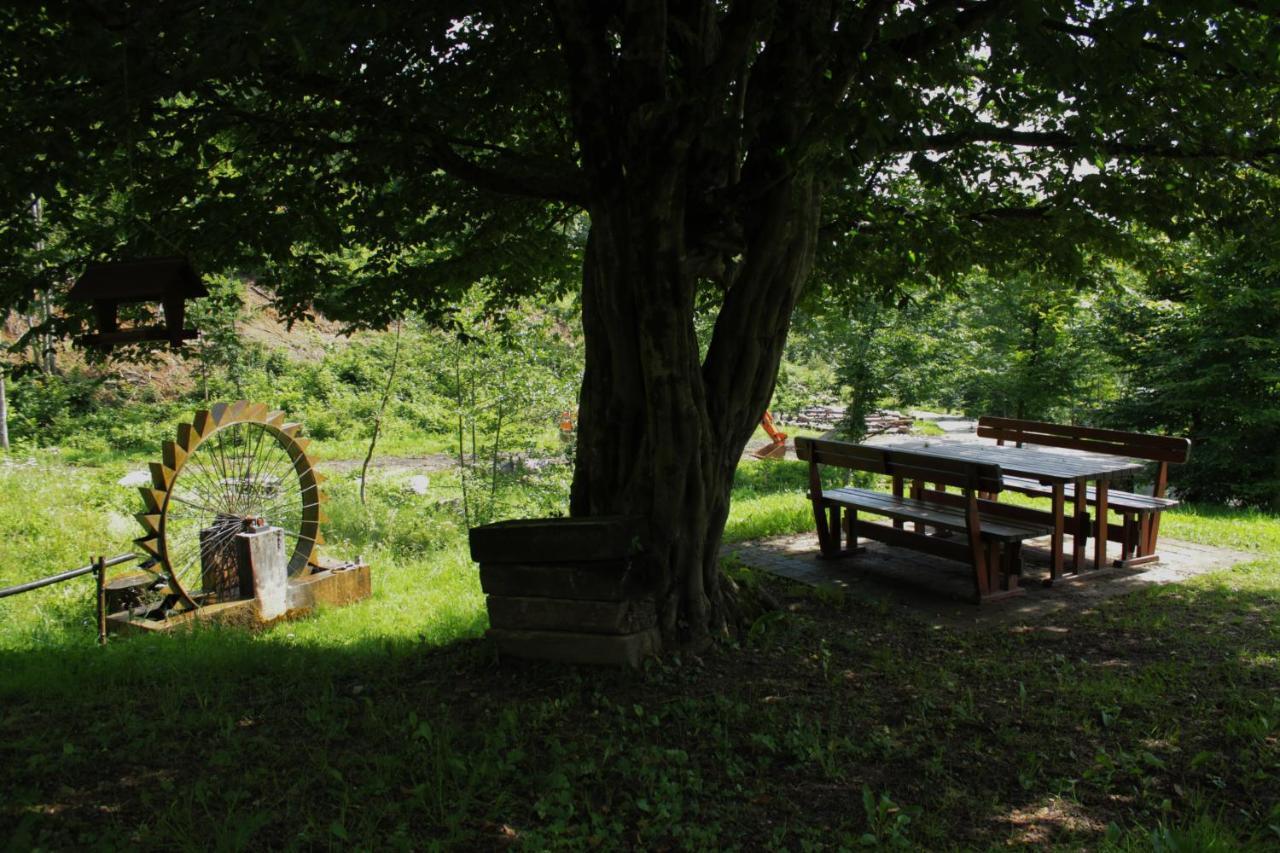 Bosco Delle Rune ..Un Angolo Di Paradiso Platischis Bagian luar foto